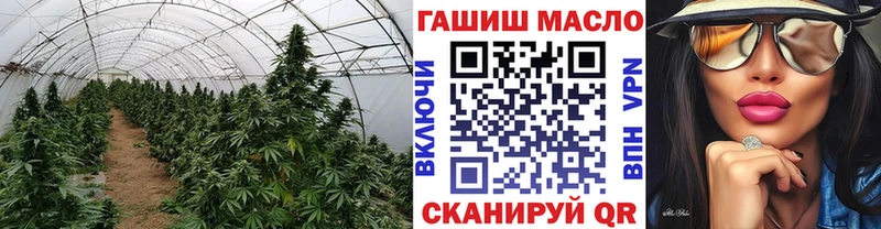 ТГК гашишное масло Ладушкин